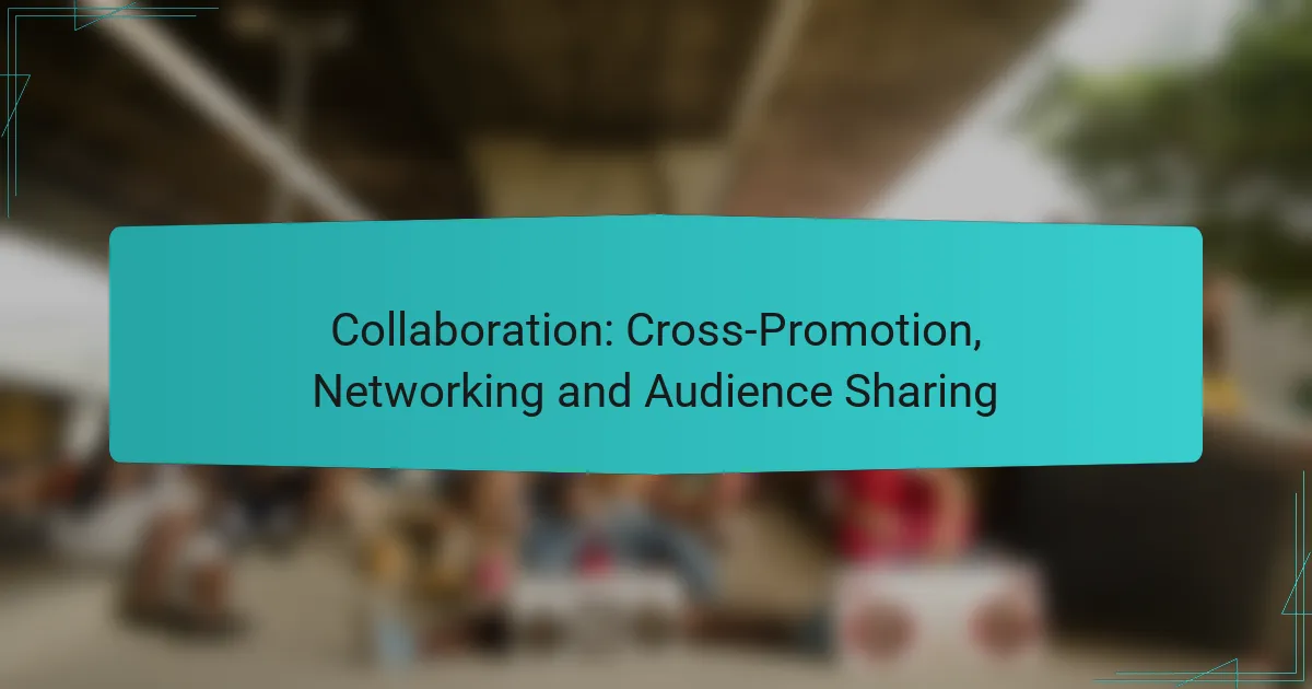 Collaboration: Cross-Promotion, Networking and Audience Sharing