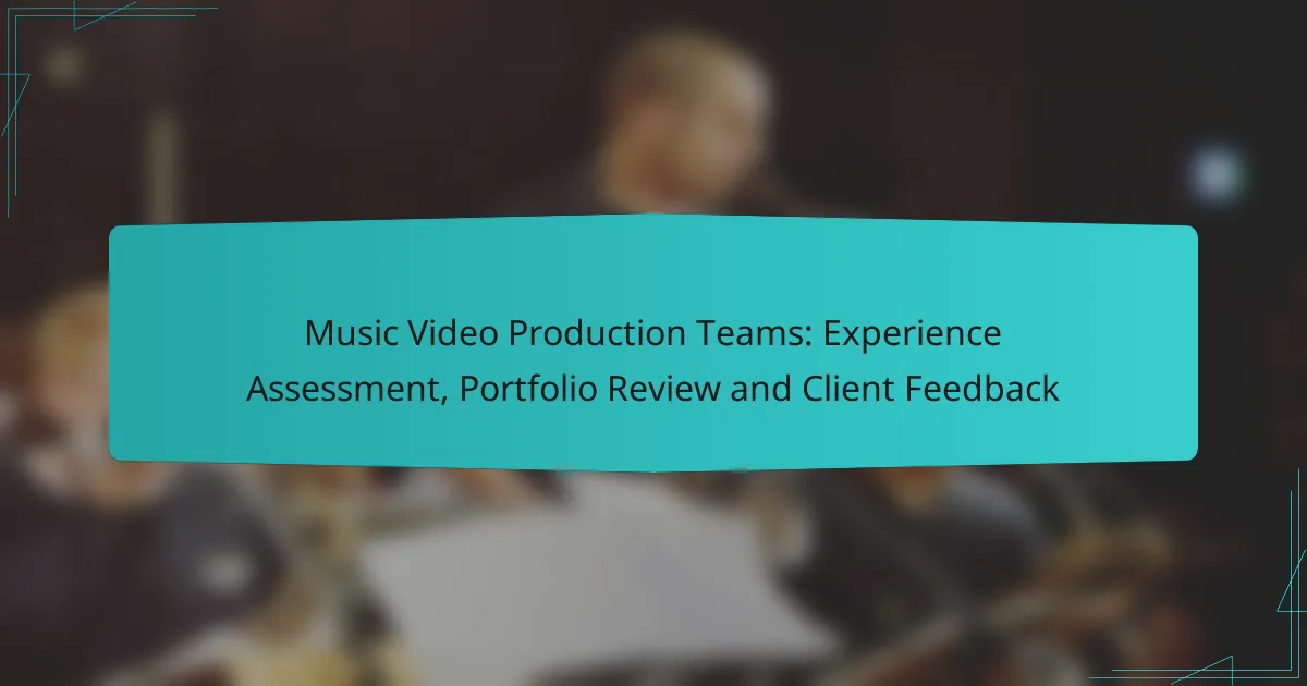 Music Video Production Teams: Experience Assessment, Portfolio Review and Client Feedback