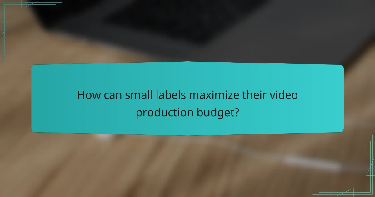How can small labels maximize their video production budget?