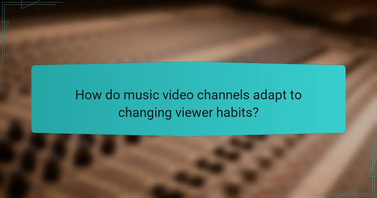 How do music video channels adapt to changing viewer habits?