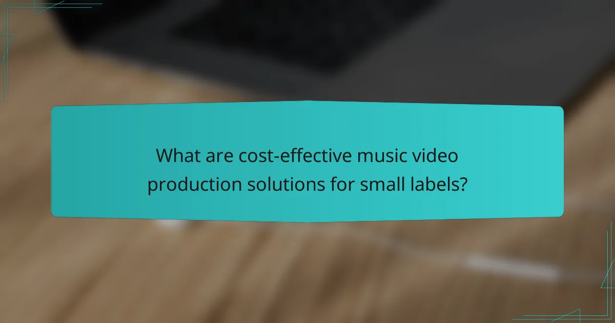 What are cost-effective music video production solutions for small labels?