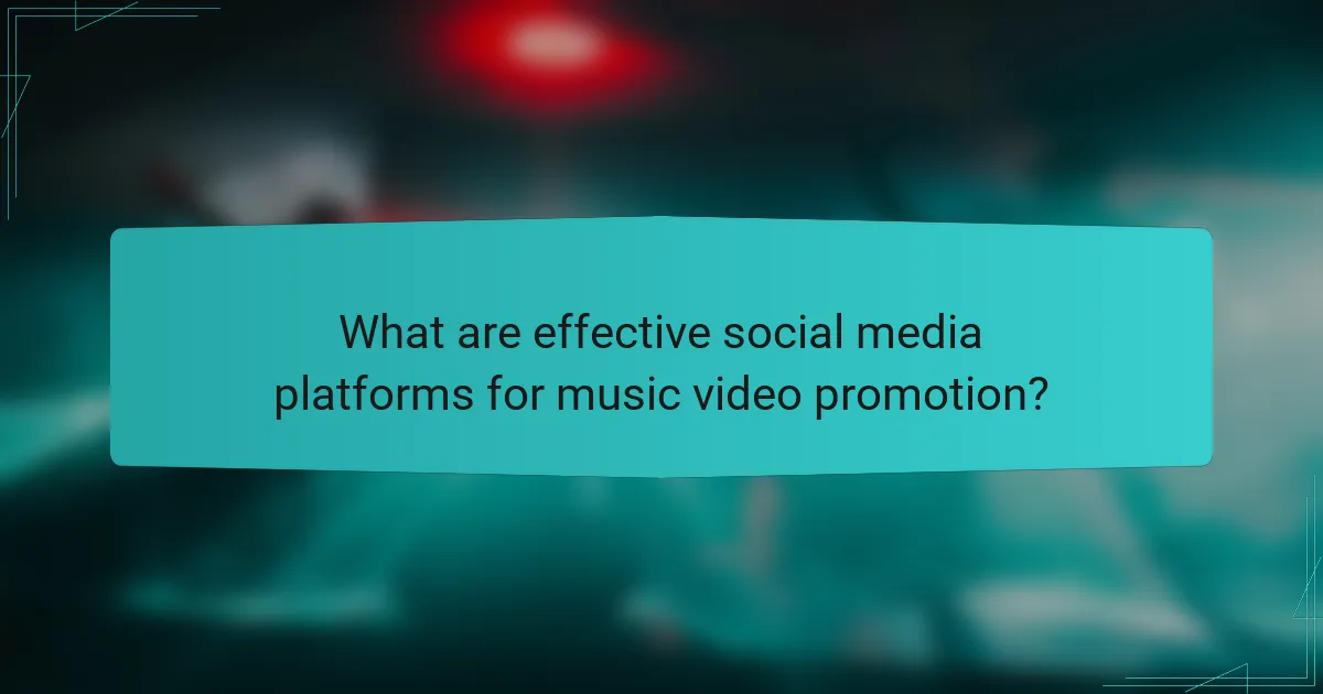 What are effective social media platforms for music video promotion?