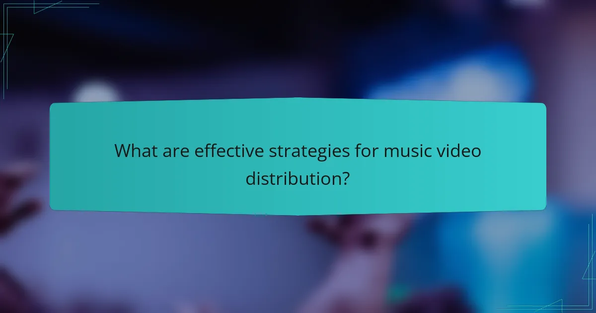 What are effective strategies for music video distribution?